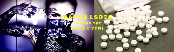 ECSTASY Белокуриха