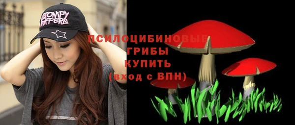 эйфоретик Белоозёрский