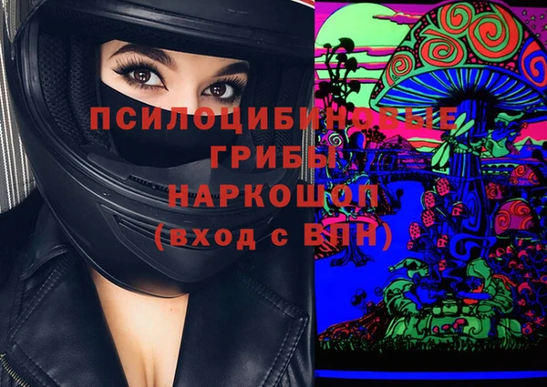 ECSTASY Белокуриха