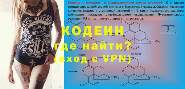 ECSTASY Белокуриха